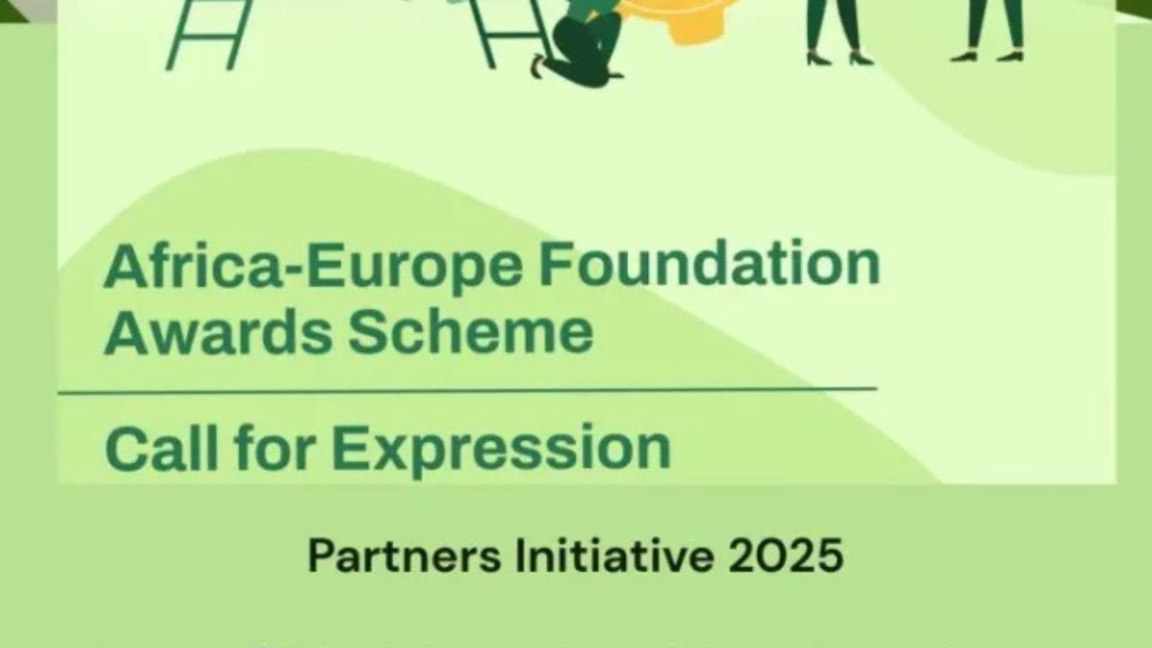 Africa-Europe Youth Awards 2025: Young Leaders, This Is Your Moment!