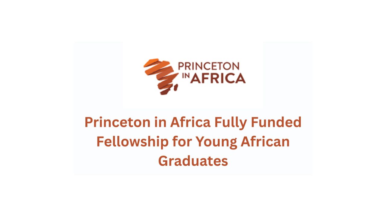 Princeton in Africa Fellowships 2026: A Life-Changing Opportunity for Young Graduates!